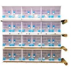 12 Jaulas Evolution 3100 New Canariz 63x40x40