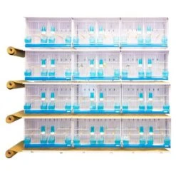 12 Jaulas New Canariz Mod Evolution 2800