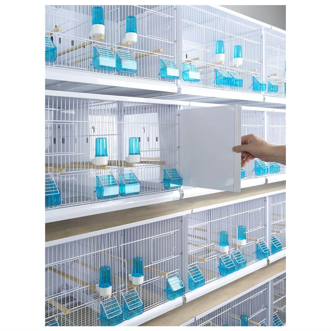 Orniplus Tienda -Orniplus Tienda 3100 W2 1