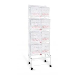 PEDROS Bateria 4 Jaulas 60 + Carro