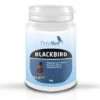 BlackBird- Fortebird