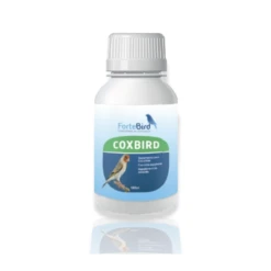Coxbird - Fortebird
