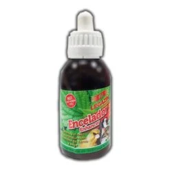 Encelador Ortiga Legazín