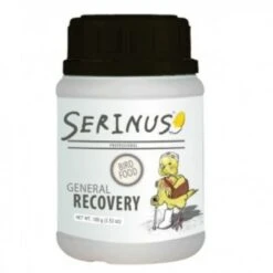 General Recovery - Serinus