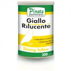 Giallo Rilucente