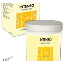 Intenso