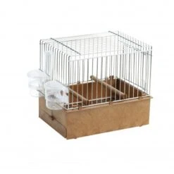 Jaula Exposición Canto