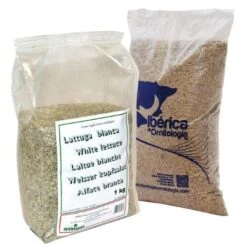 Lechuga Blanca Extra