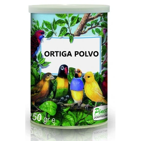 Ortiga Polvo Pineta 1 Ortiga Polvo Pineta