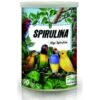 Spirulina