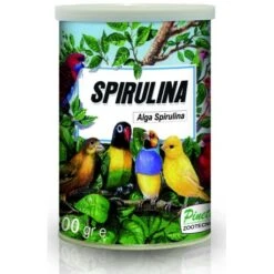 Spirulina